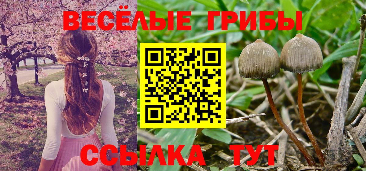 Галлюциногенные грибы MAGIC MUSHROOMS  Псилоцибиновые грибы мицелий  Нефтеюганск  Вход с VPN 
